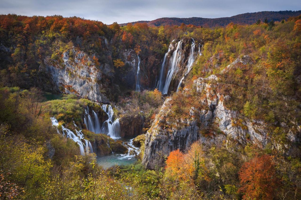 Appartments Villa Daria Marusici  Dış mekan fotoğraf